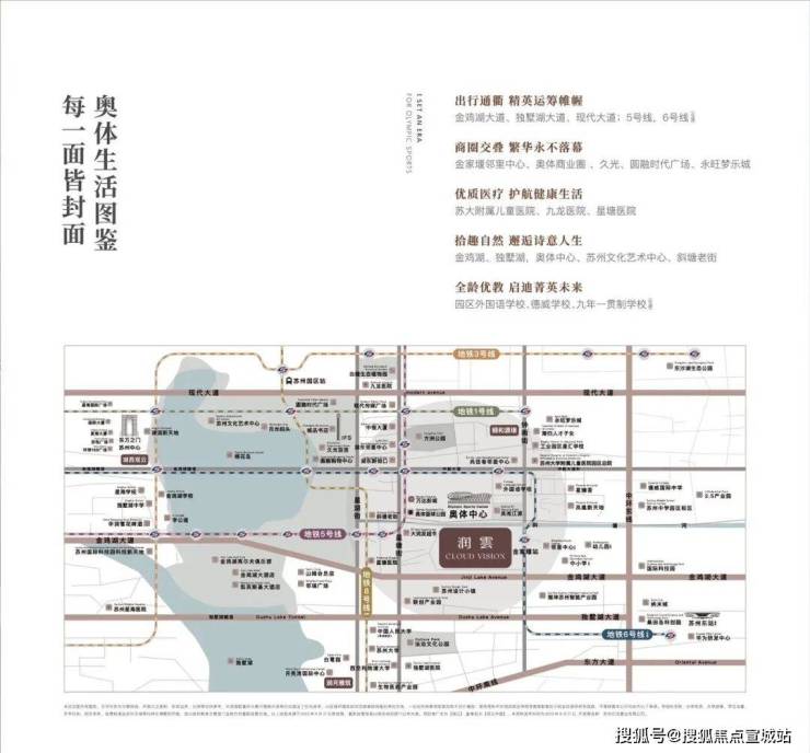 2024年11月20日苏州高线价格行情最新价格查询