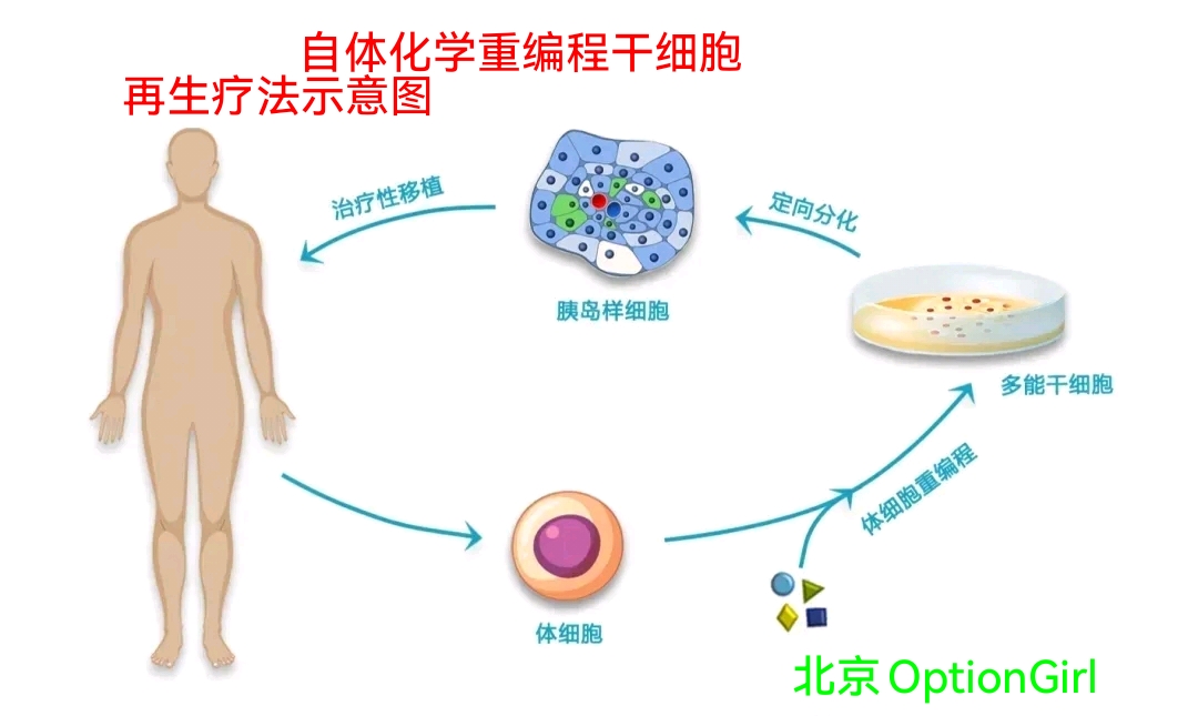 化债概念(AMC概念)概念下跌0.79%，主力资金净流出38股