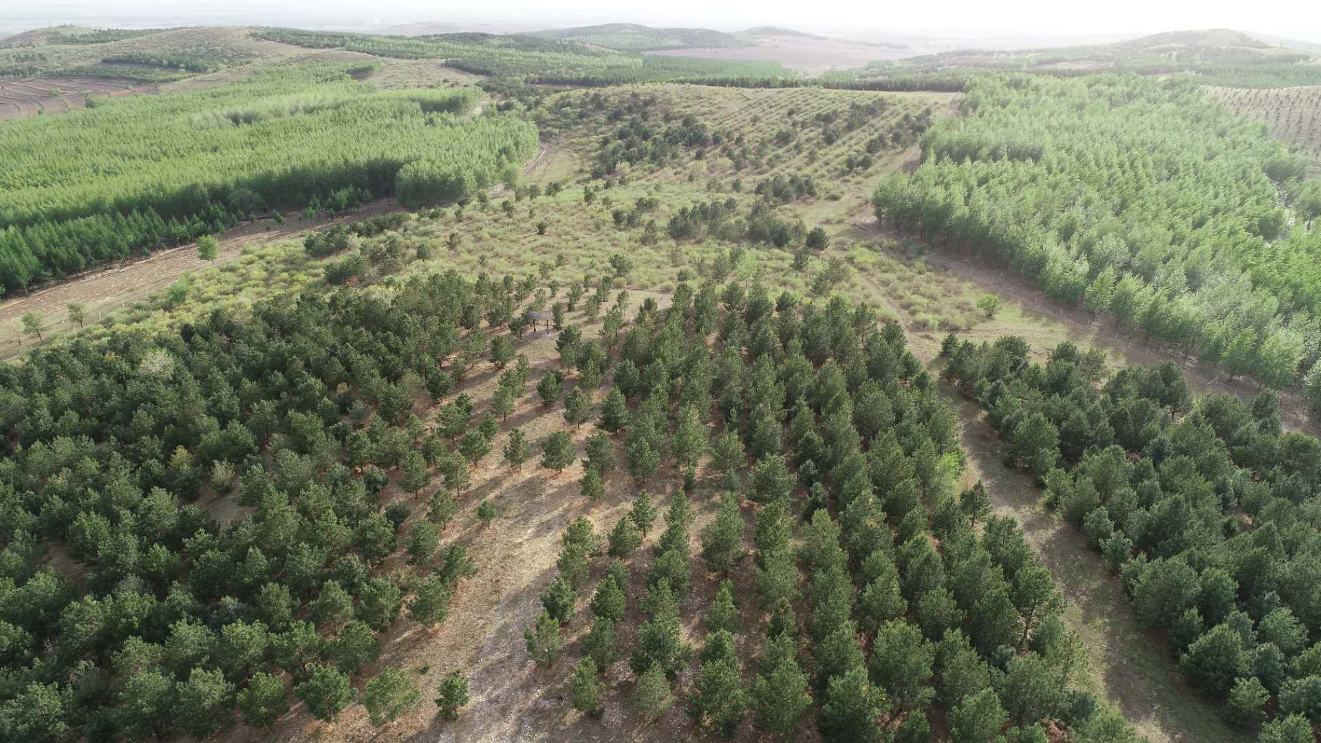 我国沙化土地净减少6500万亩