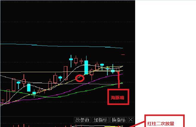 江南高纤龙虎榜数据（12月6日）