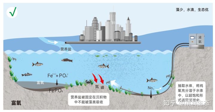 淮河流域河湖生态环境持续复苏 累计退圩还湖超260平方公里