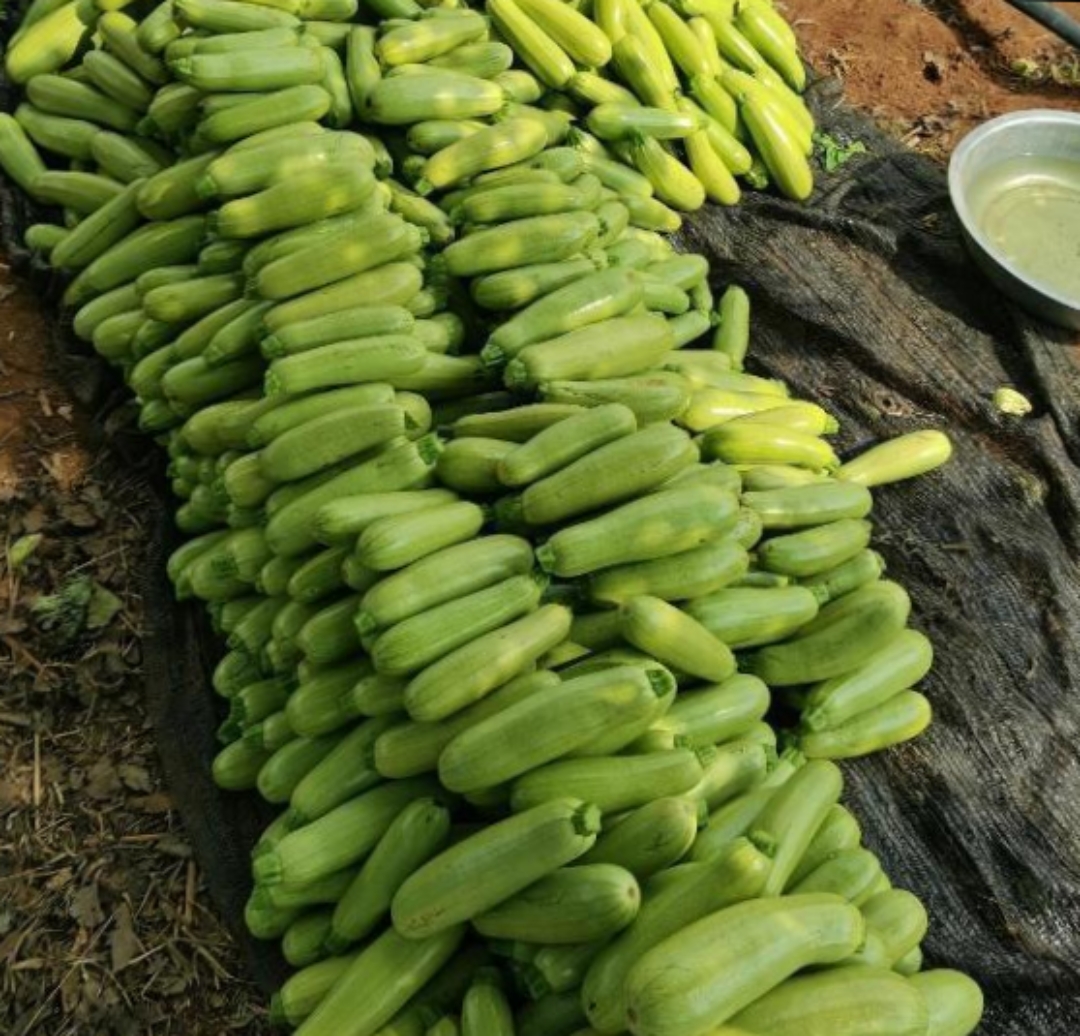 今年债券迎来“大丰收”