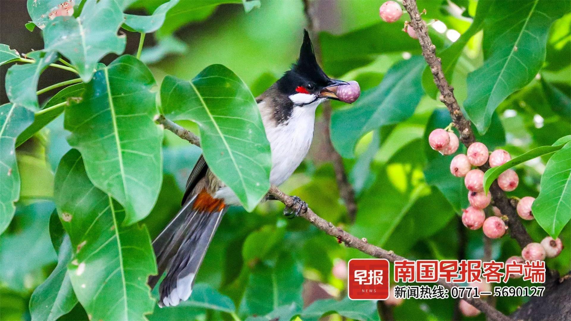 立方风控鸟·早报（1月4日）