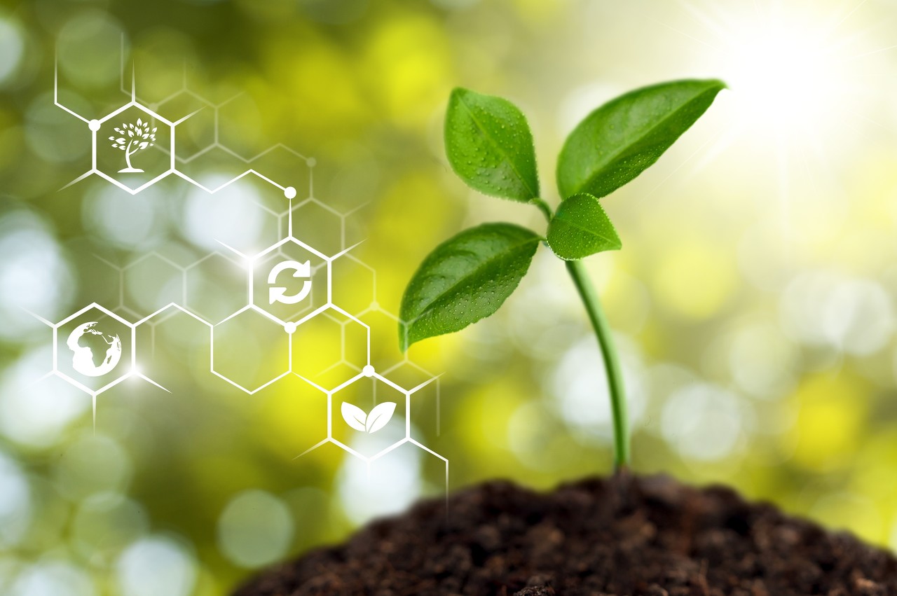 人民银行上海市分行等九部门：稳步扩大绿色贷款和转型贷款规模