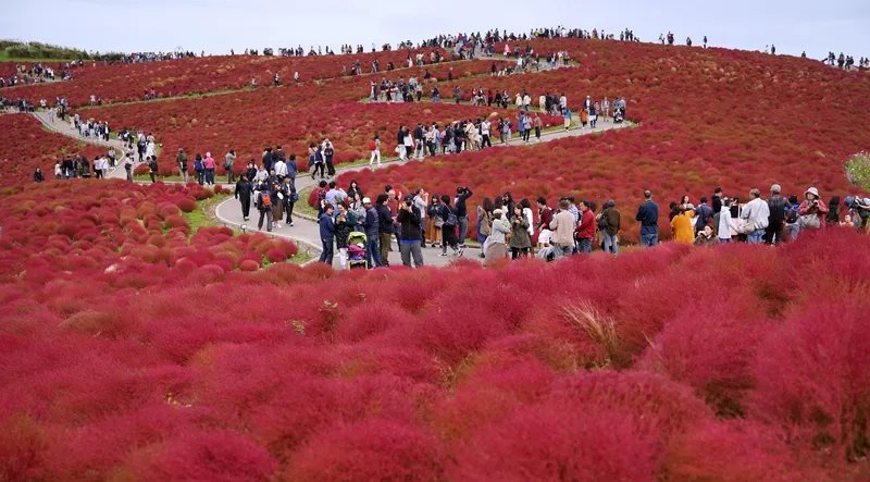 连续3个月减持！5月中国减持9亿美元美债 日本、英国增持