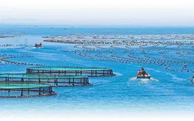 从“蓝色粮仓”到“蓝色动能” 现代渔业激发经济新活力