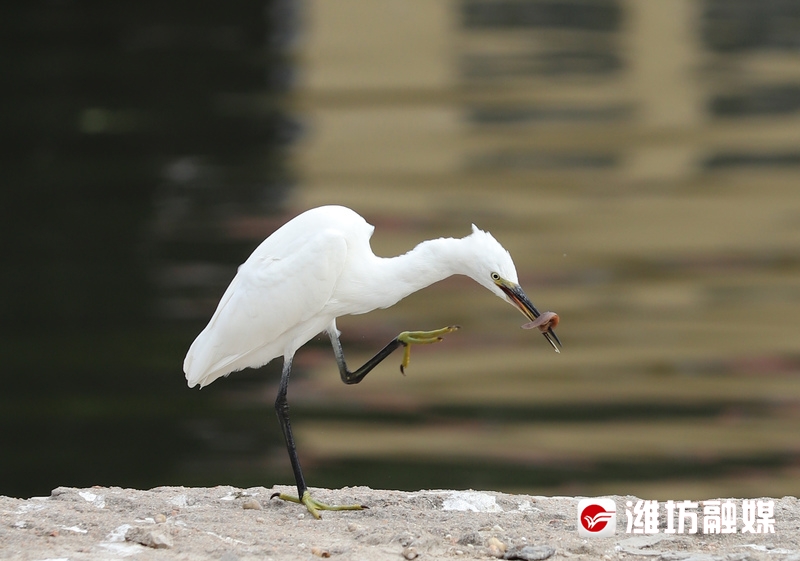 立方风控鸟·晚报（4月22日）