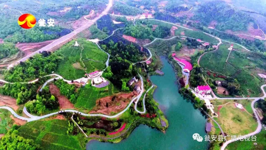 电力赋能茶旅新业态