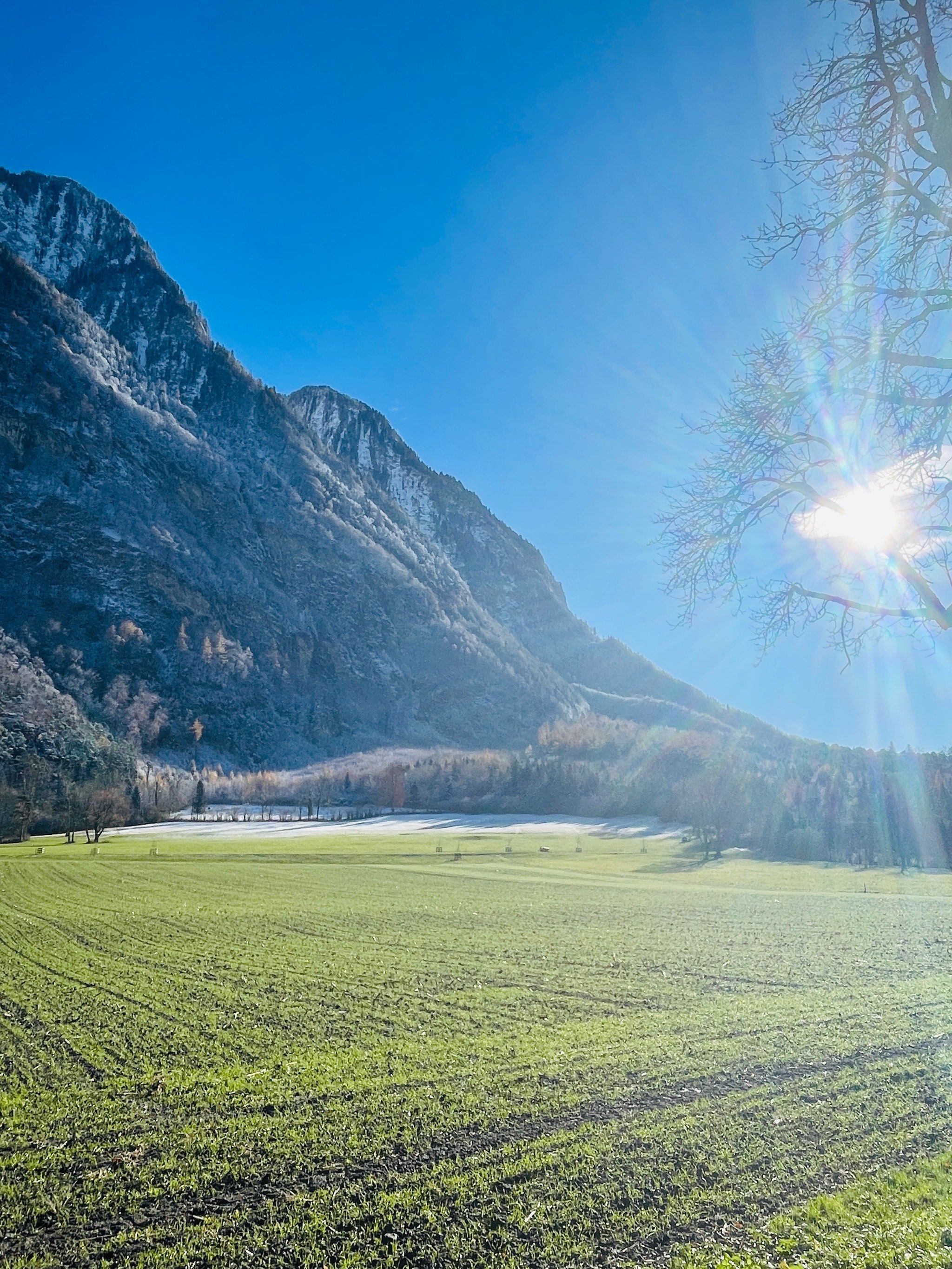 煤电联营“风光”无限