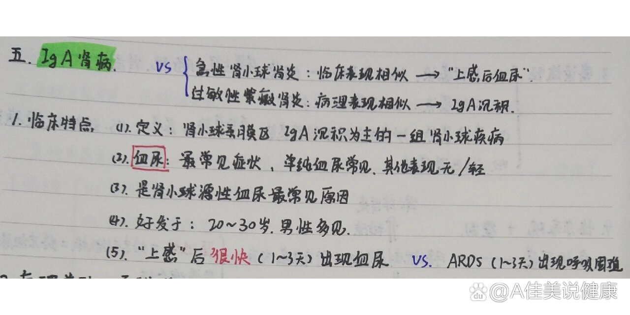我国首部《IgA肾病临床实践60问(2026版)》正式发布 打造临床“口袋工具书”